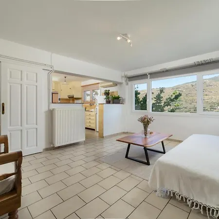 Victoria's Summerhouse Apartment Andros Town